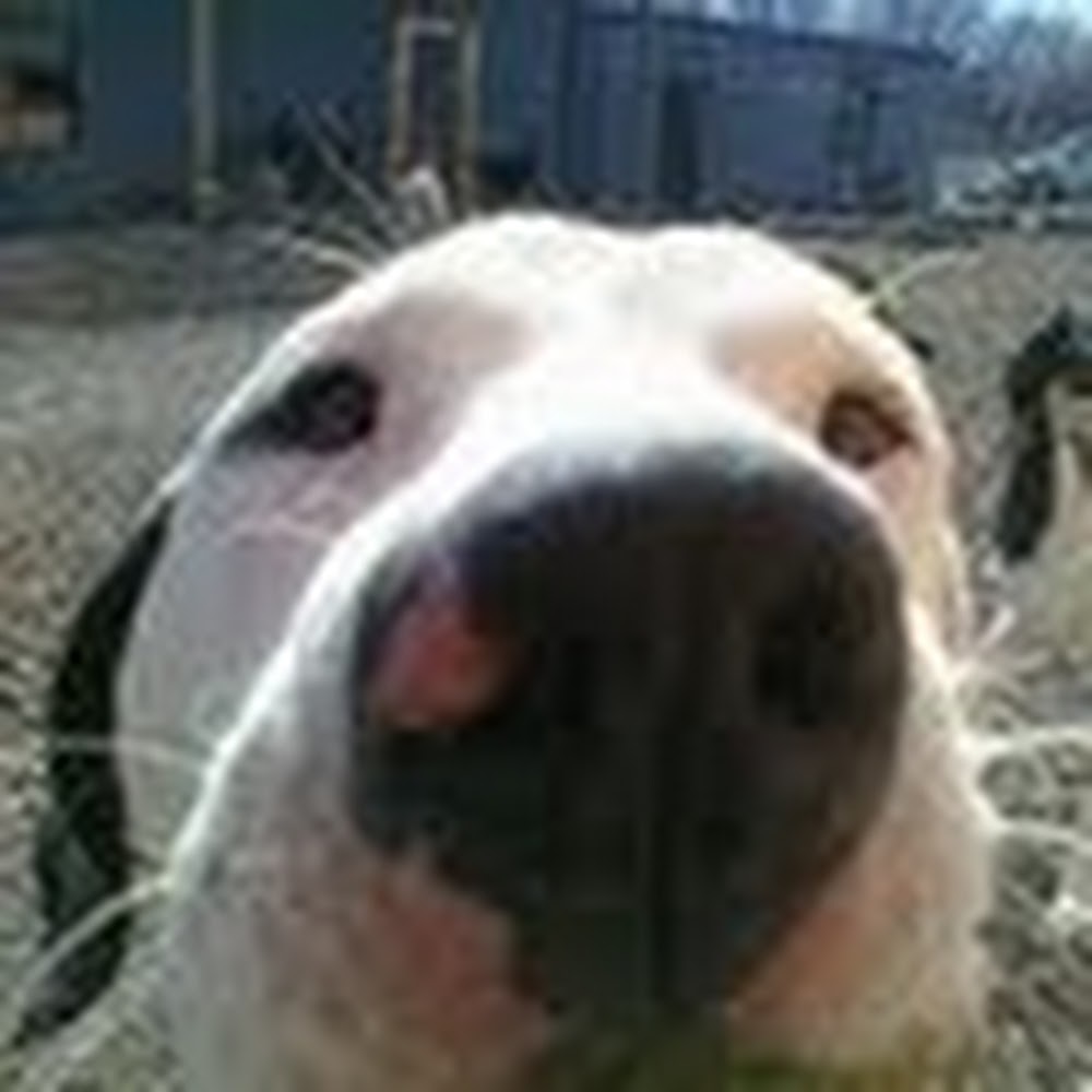 Meet your Posher, Coralie